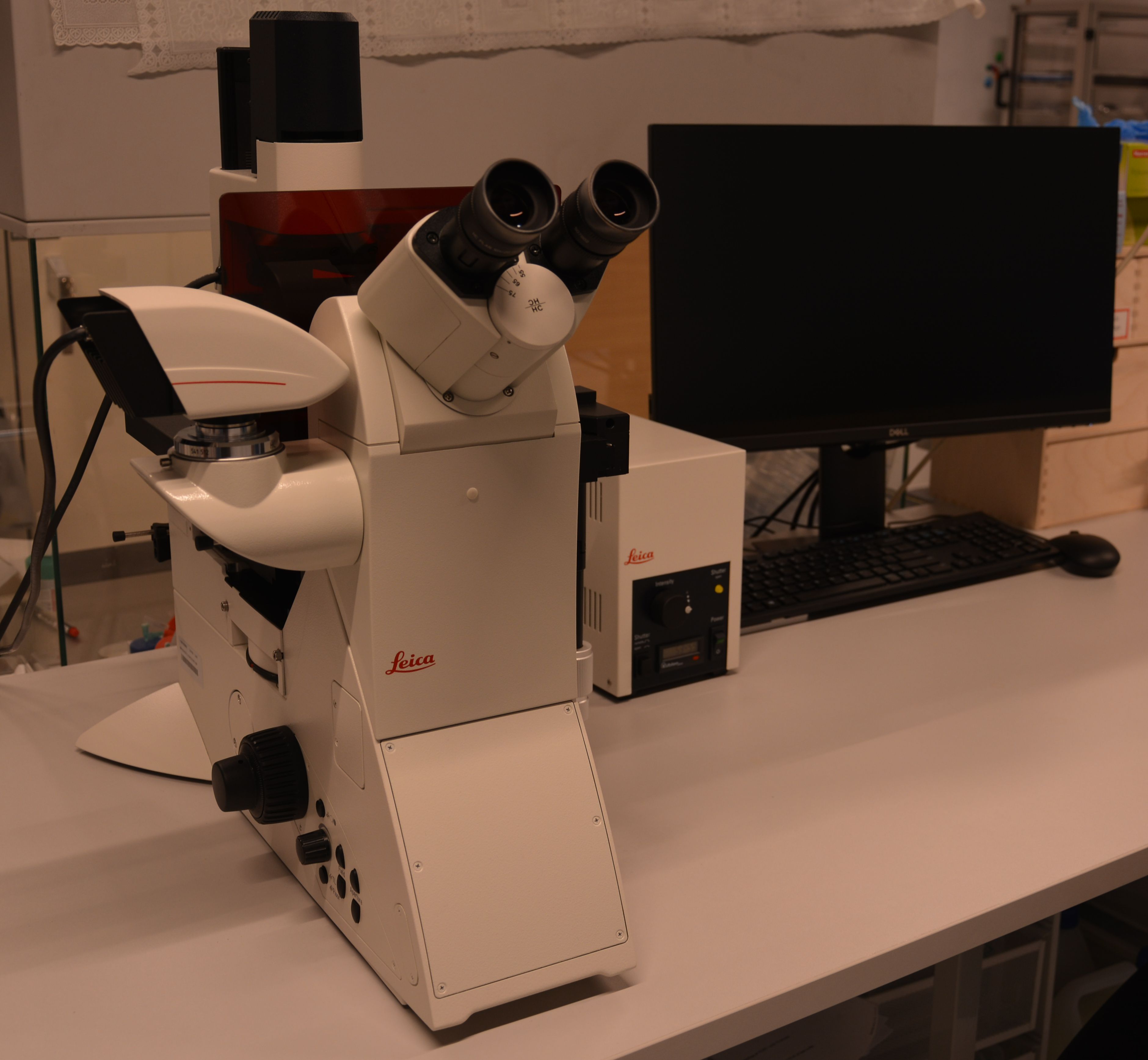 Modular Fluorescence Microscope Leica DMi8
