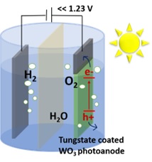 Schematic of photoelectrochemical water splitting using a tungstate coated photoanode