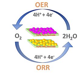 Schematic processes of OER and ORR reactions.