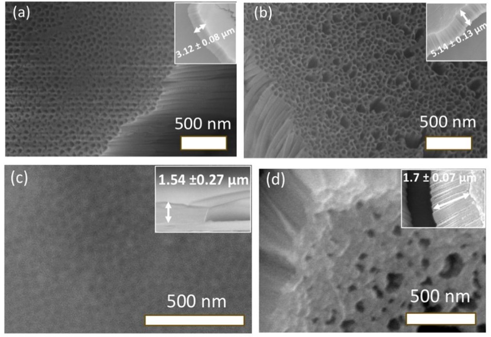 SEM micrographs of anodic HfOx.